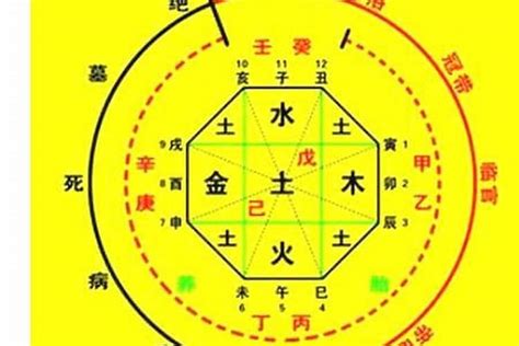 查生辰八字|生辰八字算命、五行喜用神查询（免费测算）